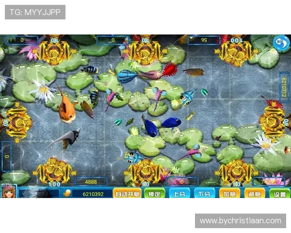 K8捕鱼大师的最佳捕鱼时间和地点分析，提升你的捕鱼成功率