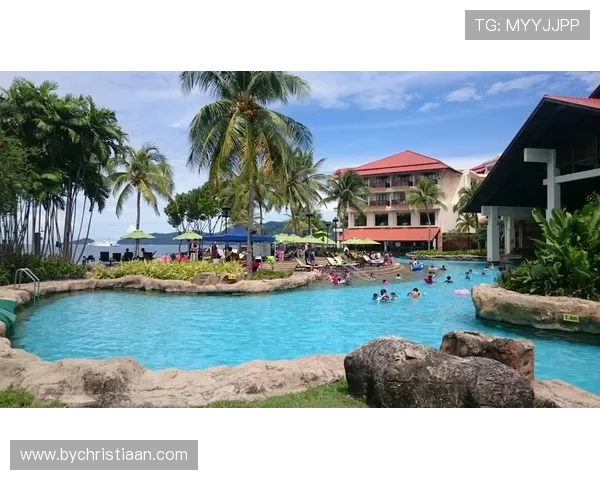 凯发正规会员登录流程详解，轻松注册登录无忧，开启精彩游戏之旅